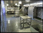 Fish processing area with blast freezers